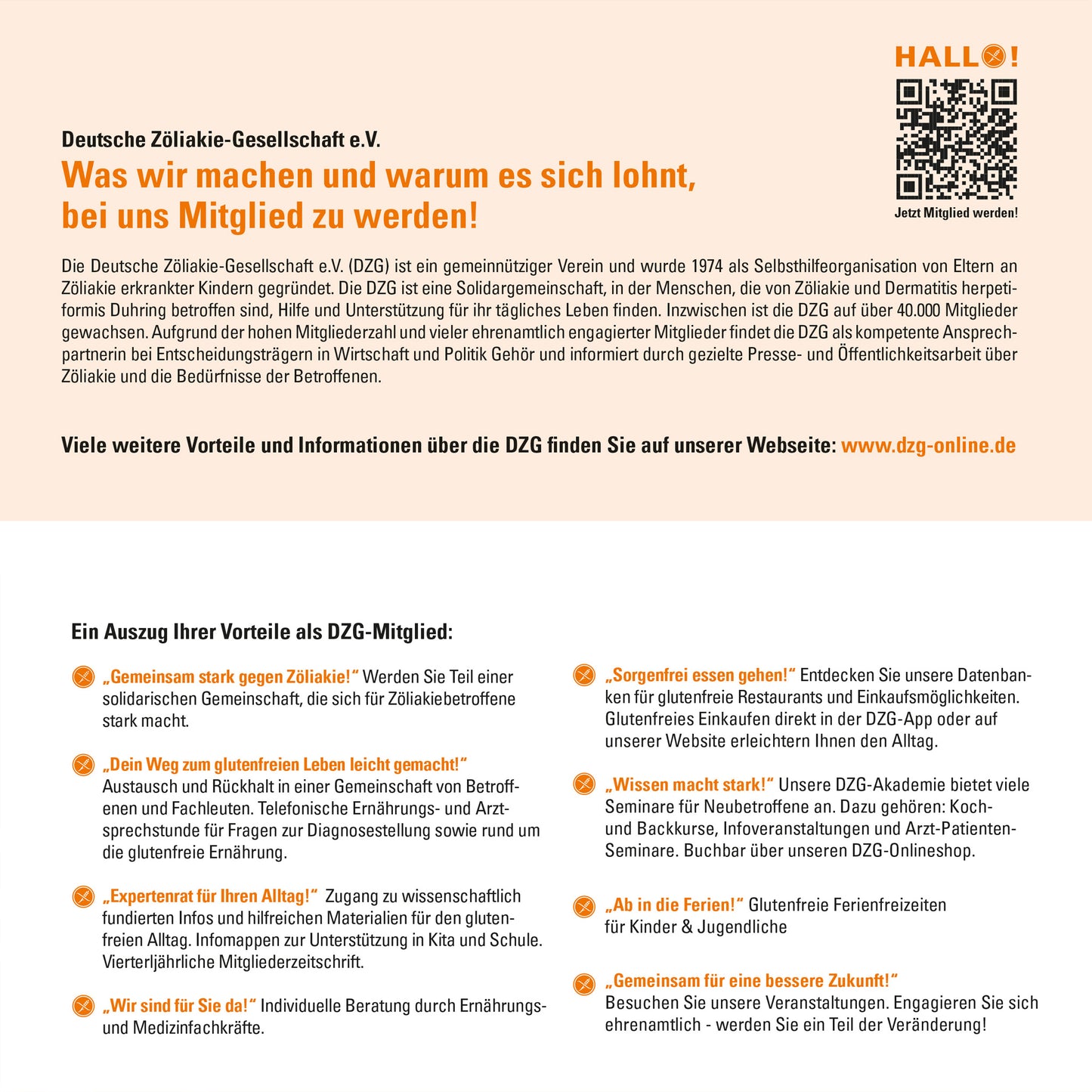 Hallo Flyer