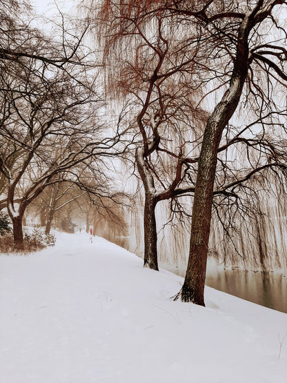 A-see mit viel Schnee