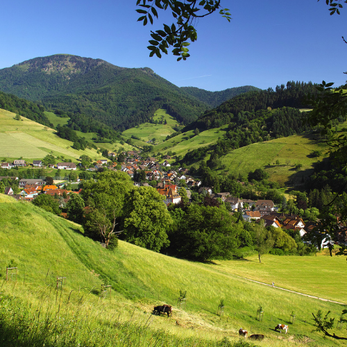 Wohlfühlwochenende im Breisgau 55+ p.P. im Doppelzimmer für Mitglieder