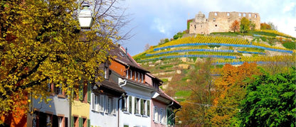Bunte Häuser und weinberge auf denen eine uine steht- alles sehr malerisch