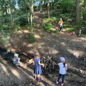 Dein wildes Sommerabenteuer vom 09.08.- 15.08.2026 für Nichtmitglieder