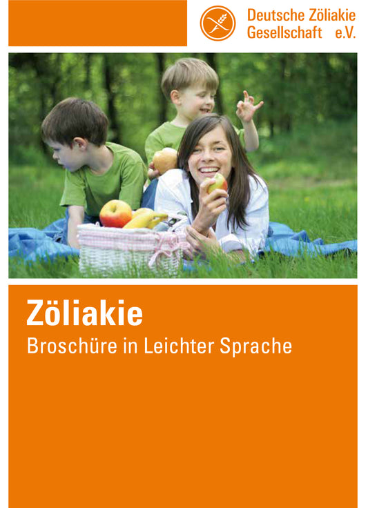 Broschüre  in leichter Sprache