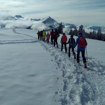 Schneeschuh-Wanderwochenende im Allgäu 26.02- 28.02.2027-für Nichtmitglieder