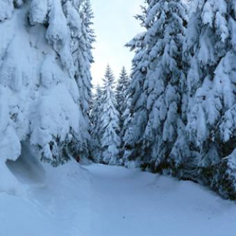 Schneeschuh-Wanderwochenende im Allgäu 26.02- 28.02.2027-für Nichtmitglieder