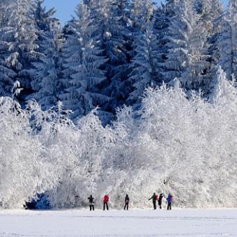 Schneeschuh-Wanderwochenende im Allgäu 26.02- 28.02.2027-für Nichtmitglieder