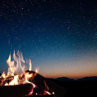 Dein wildes Sommerabenteuer vom 09.08.- 15.08.2026 für Nichtmitglieder