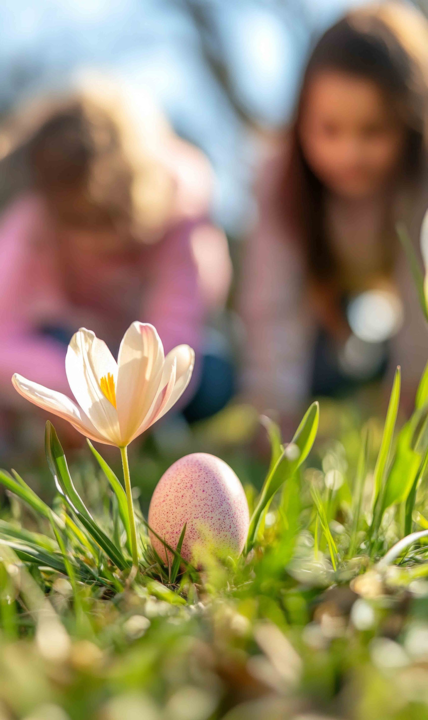 Familien-Osterwochenende vom 03.04.- 05.04.2026 für Mitglieder ab 12 J