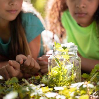 Wildventure!  vom 02.08.- 08.08.2026 für Nichtmitglieder