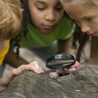 Wildventure!  vom 02.08.- 08.08.2026 für Nichtmitglieder